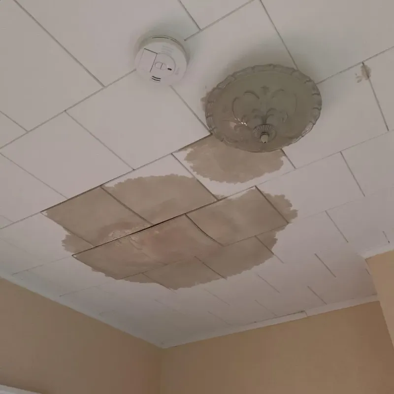 Ceiling Water Damage Repair in Hannawa Falls, NY