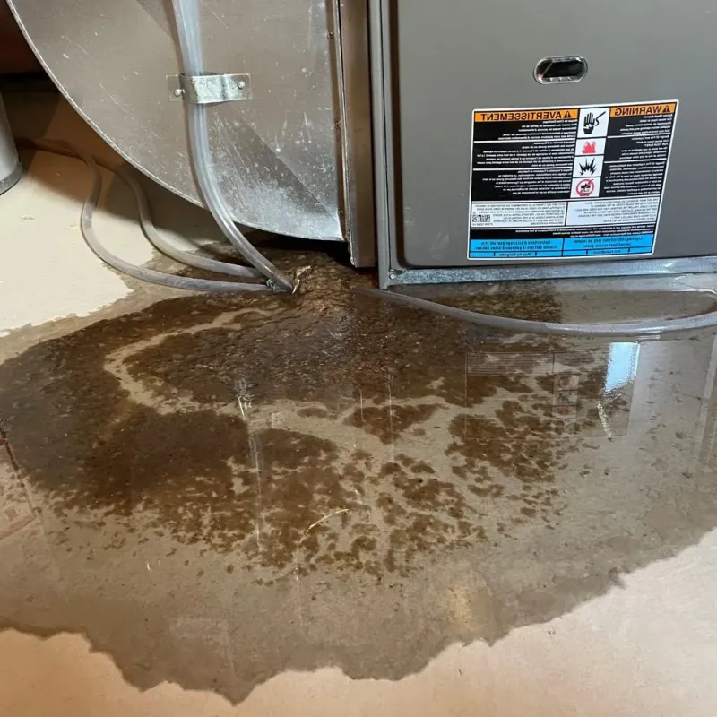 Pipe Burst and Leak Restoration in Hannawa Falls, NY