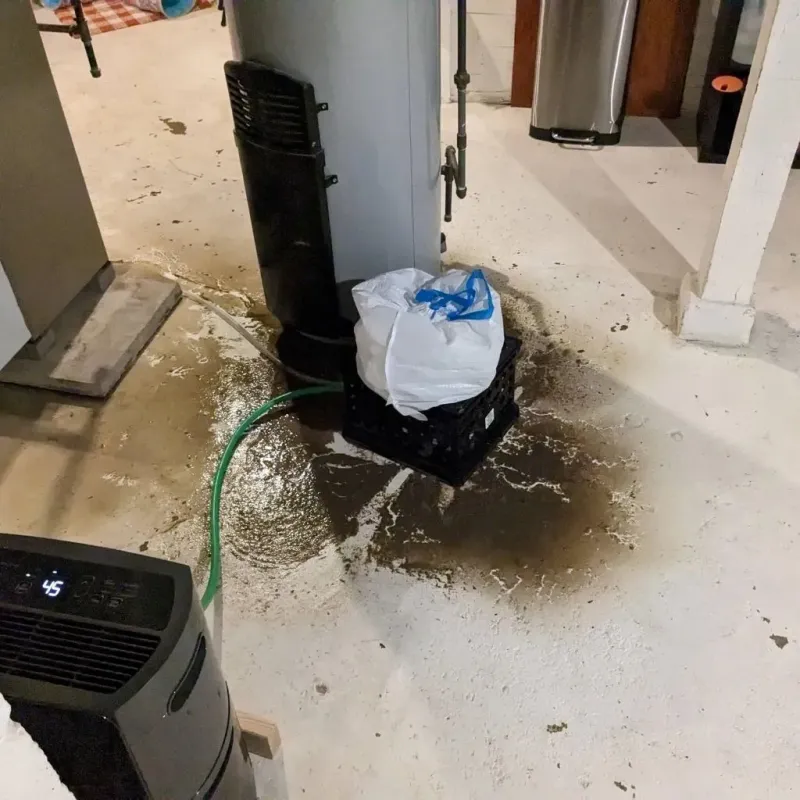 Sewage Backup Cleanup Service in Hannawa Falls, NY